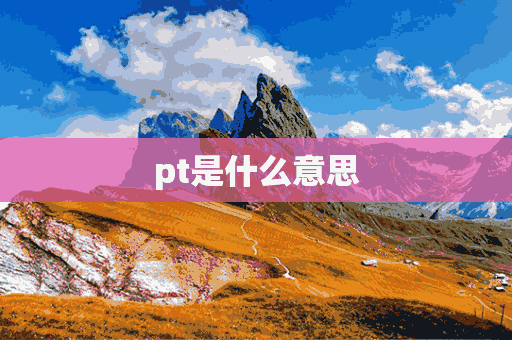 pt是什么意思(PTA是什么意思)